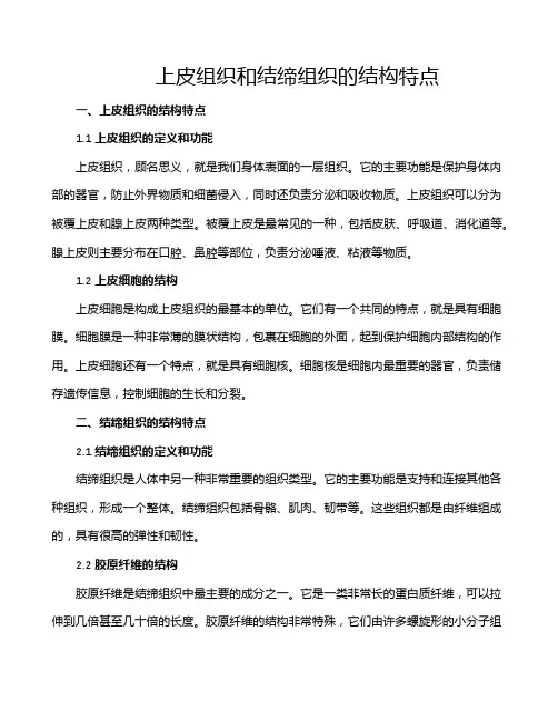 上皮组织和结缔组织的结构特点