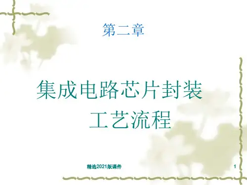 第2章 封装工艺流程