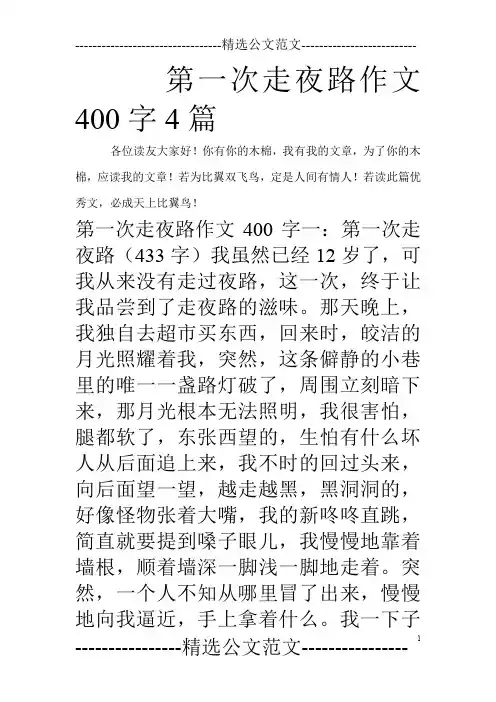 第一次走夜路作文400字4篇_0