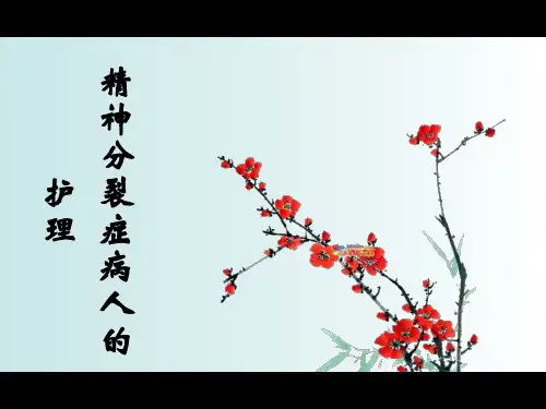 精神分裂症病人的护理查房ppt【全套】