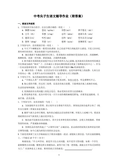 中考尖子生语文辅导作业(附答案)