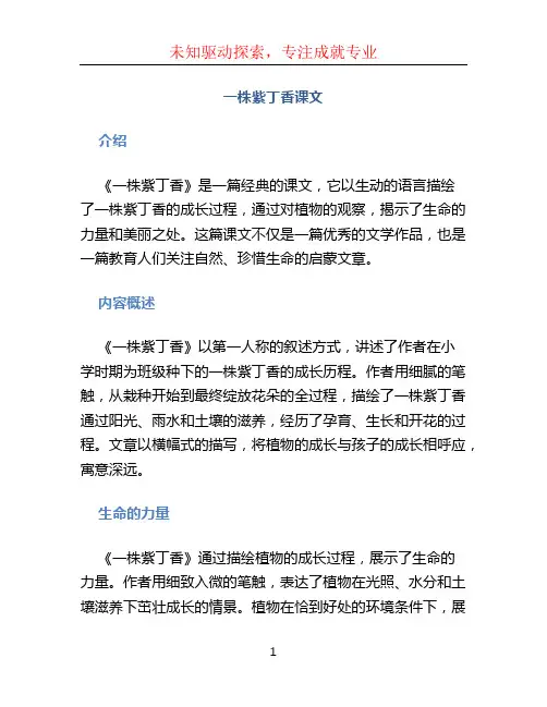一株紫丁香课文