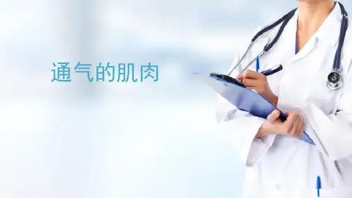 基础知识—运动与心肺功能(人体运动学课件)