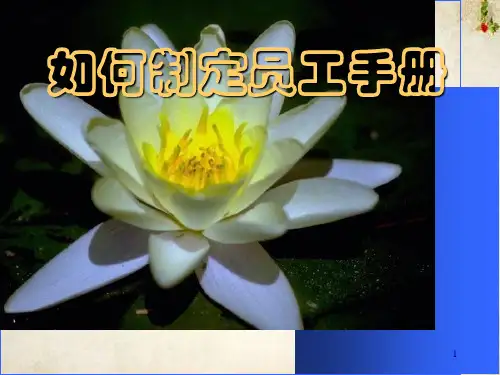 纺织企业如何制定员工手册(ppt 95页)