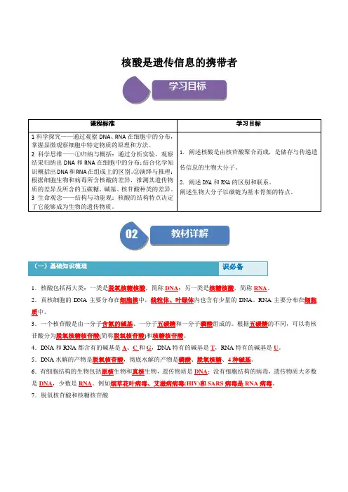 核酸是遗传信息的携带者
