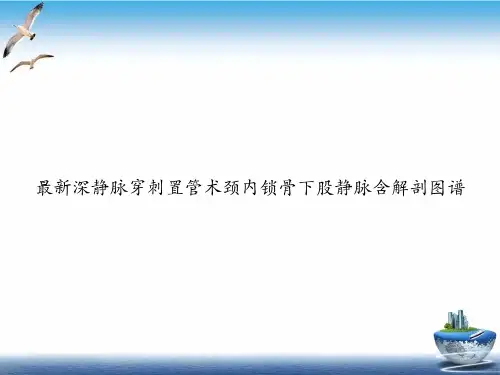 深静脉穿刺置管术颈内锁骨下股静脉含解剖图谱PPT培训课件