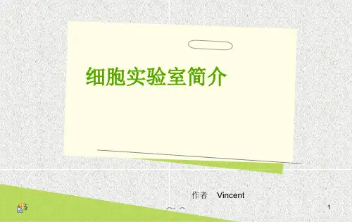 细胞实验室简介强烈推荐.ppt