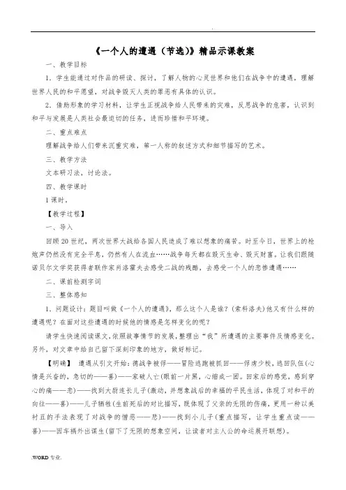 《一个人的遭遇(节选)》精品示范课教案