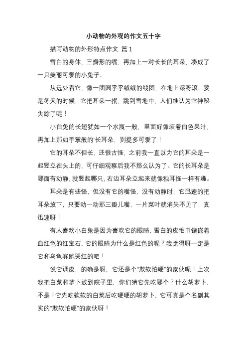 小动物的外观的作文五十字