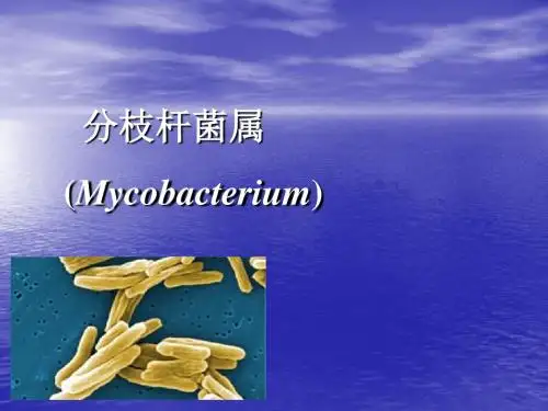 分枝杆菌属 最新ppt演示课件
