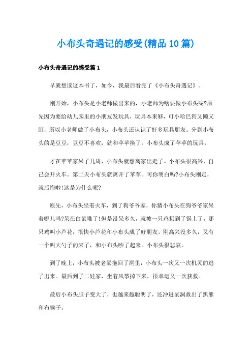 小布头奇遇记的感受(精品10篇)