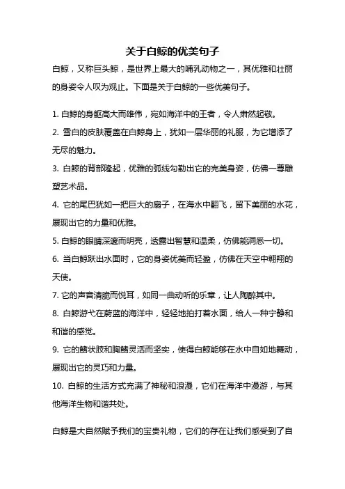 关于白鲸的优美句子