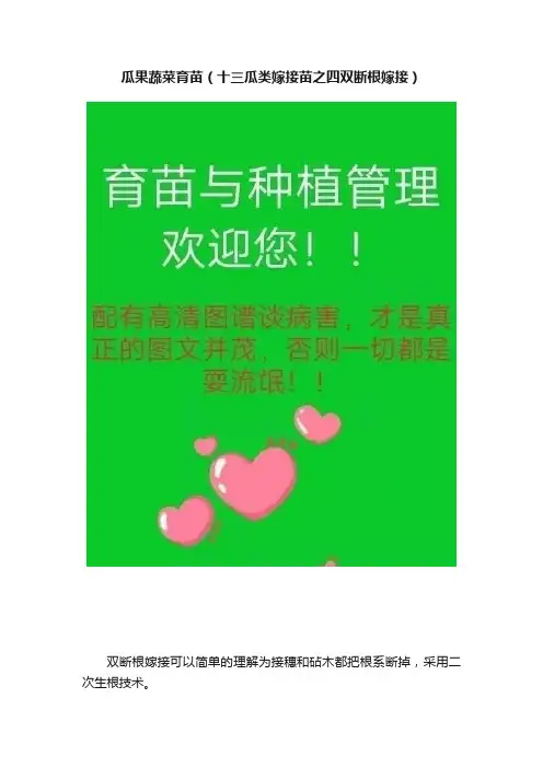 瓜果蔬菜育苗（十三瓜类嫁接苗之四双断根嫁接）