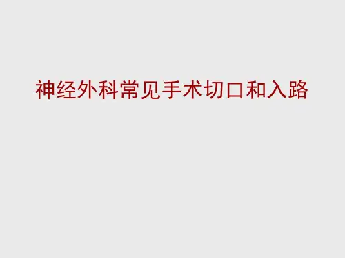 神经外科常见手术切口和入路