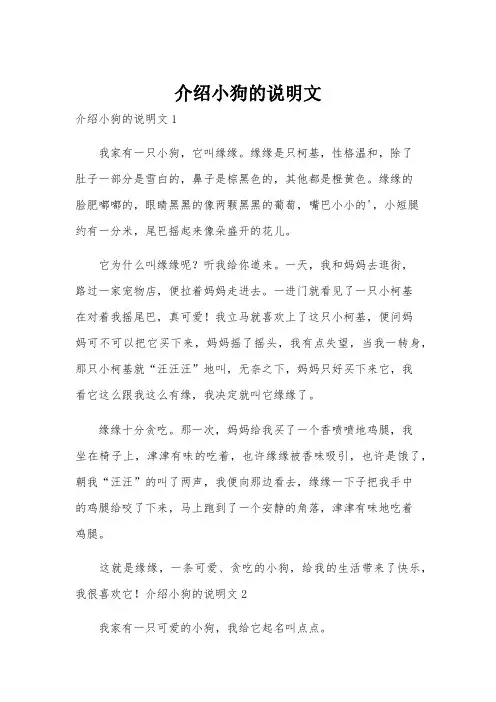 介绍小狗的说明文