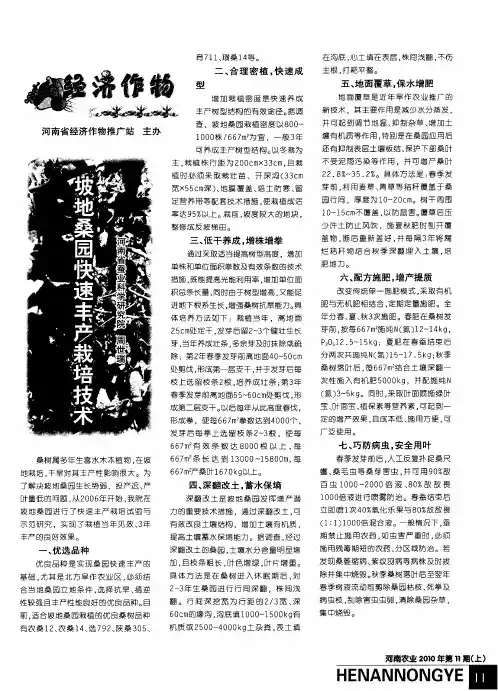 坡地桑园快速丰产栽培技术