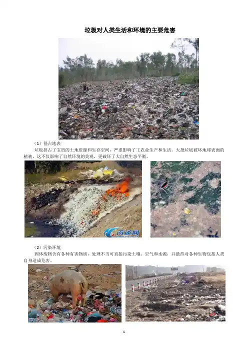 垃圾对人类生活和环境的主要危害