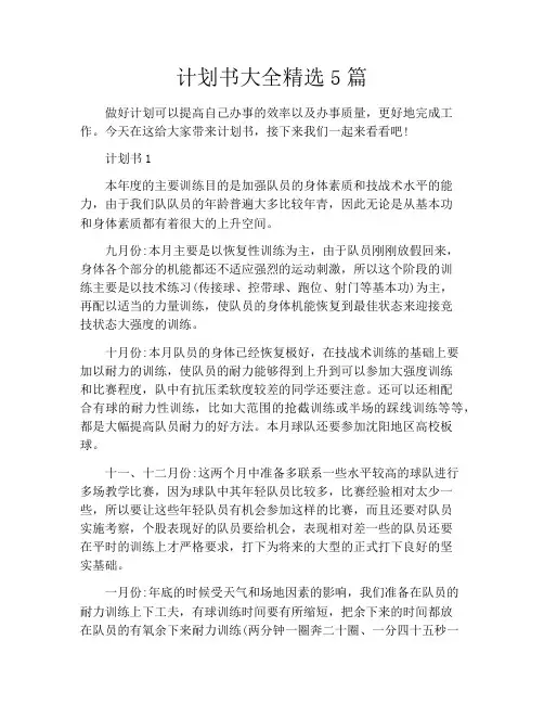 计划书大全精选5篇