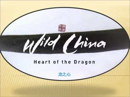 (完整版)《美丽中国》wild China        英语PPT