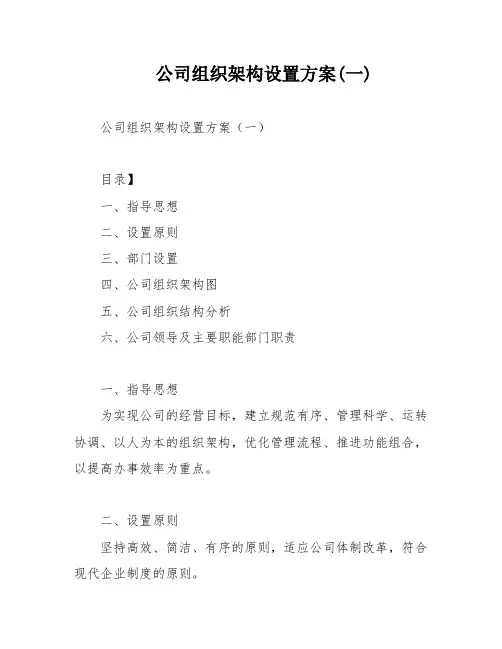 公司组织架构设置方案(一)