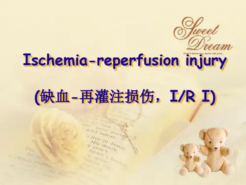 病理生理学：缺血 再灌注损伤