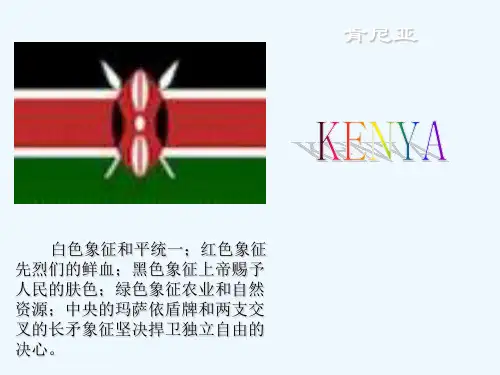 肯尼迪 PPT