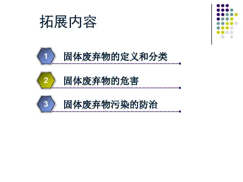 矿业固体废物与资源化利用课件.ppt