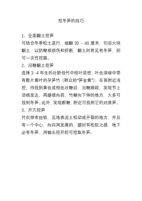 挖冬笋的技巧