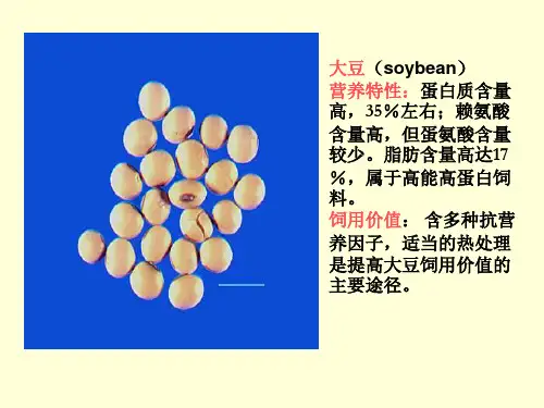 蛋白质饲料