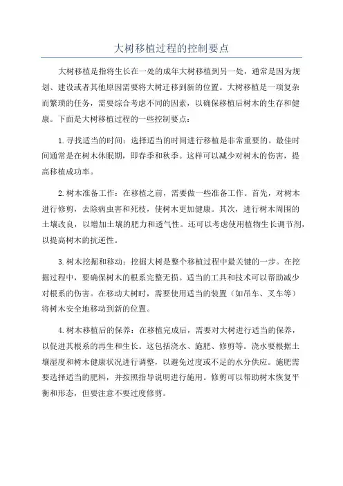 大树移植过程的控制要点