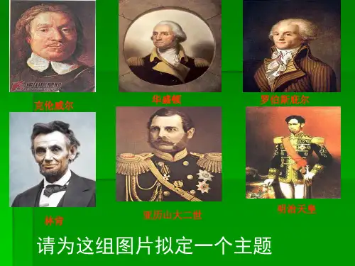 资本主义制度的确立和发展