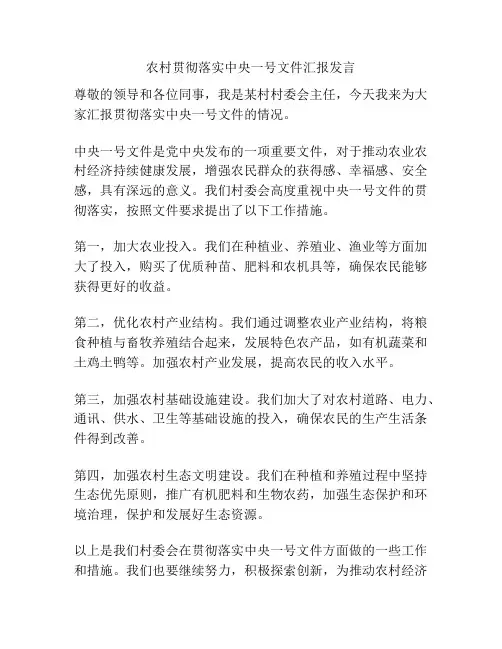 农村贯彻落实中央一号文件汇报发言
