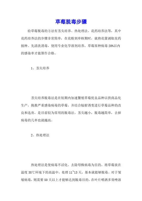 草莓脱毒步骤