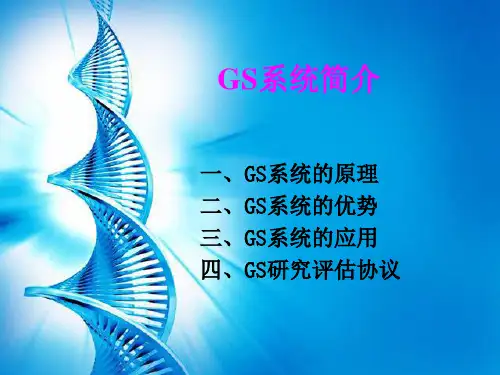 (参考课件)GS系统简介