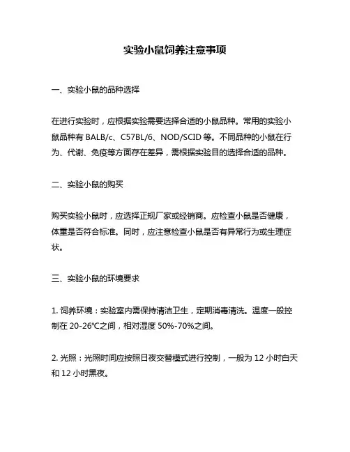 实验小鼠饲养注意事项