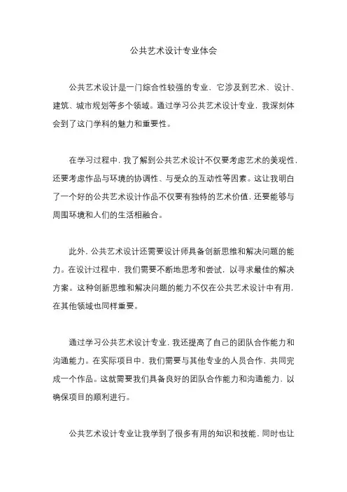 公共艺术设计专业体会
