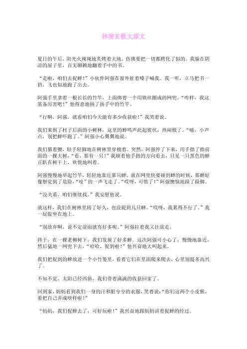 林清玄散文原文