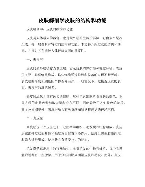 皮肤解剖学皮肤的结构和功能