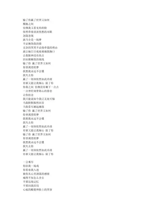 一言难尽,输了你赢了世界又如何歌词