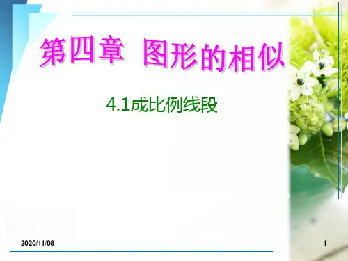 北师大版九年级上册数学 《成比例线段》图形的相似PPT教学课件
