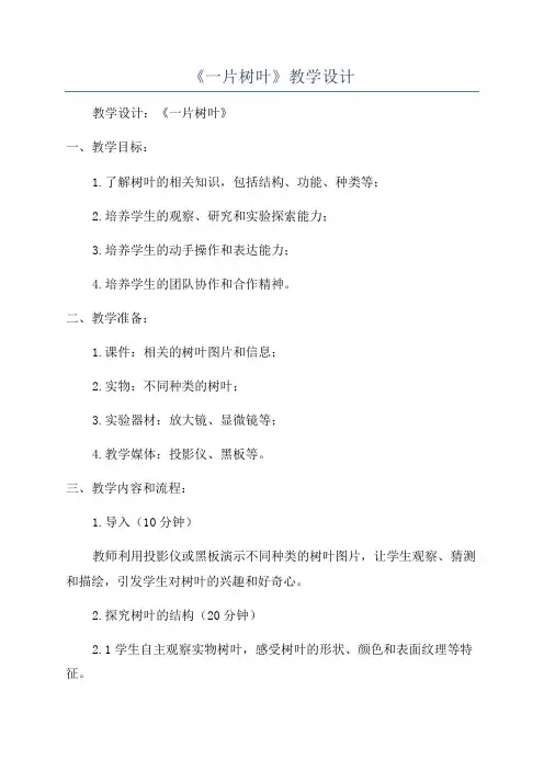 《一片树叶》教学设计