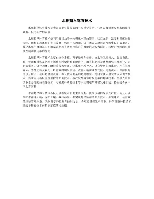 水稻超早钵育技术