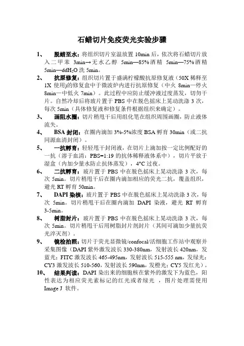 石蜡切片免疫荧光实验步骤