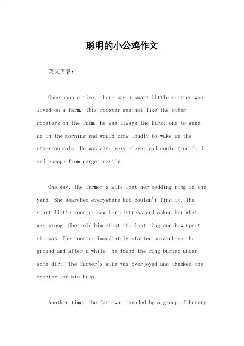 聪明的小公鸡作文