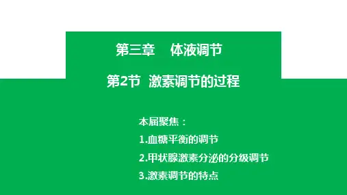 激素调节的过程ppt课件