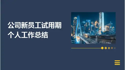 公司新员工试用期个人工作总结PPT
