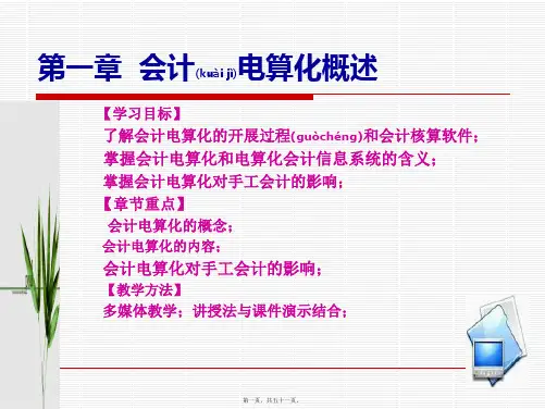 会计电算化概述(ppt版)