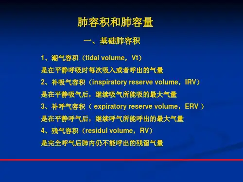 临床肺功能检查