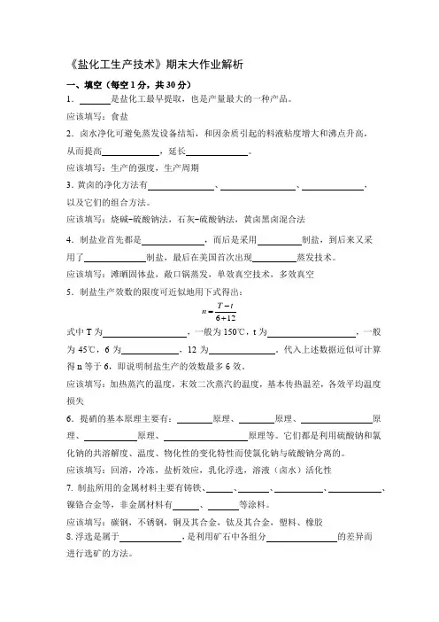 国家开放大学应用化工技术期末大作业：盐化工生产技术解析