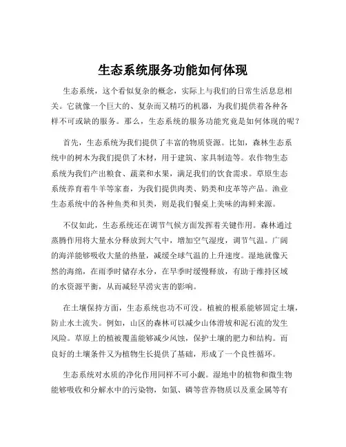 生态系统服务功能如何体现
